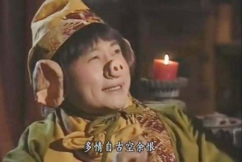 镜中朱八杰寓言词的解读