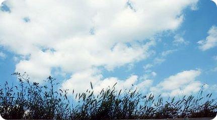 告别退伍军人的消息退伍军人