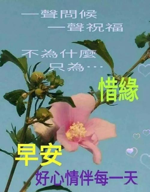 早安讯息：最美的是相遇，最难得的是再次相遇