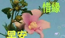 早安心语：最美好的是相遇，最难得的是重逢