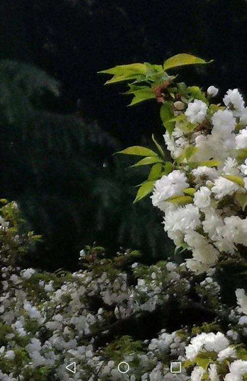 孔少安：在宴会上唱歌石榴