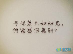 离别总是一个感性的句子