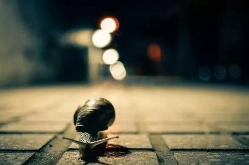 生于贫穷的家庭，仍然有一种高尚的方法