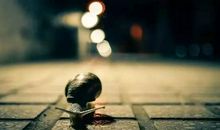 出身寒门，还有一条路可以通往高贵