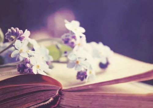 看你什么时候迷路