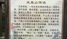 描写祖国风光的古诗