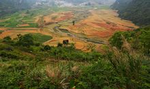 在那遥远的小山村……