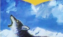 狼王梦读后感1000字