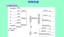 高三学生二轮复习要处理好六种关系