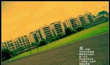 怀恋过去的句子