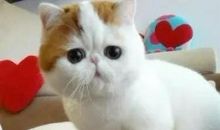 这是四个故事小段，够你受用一生