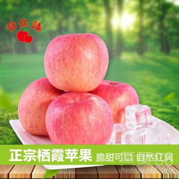 一段描述苹果的好文章