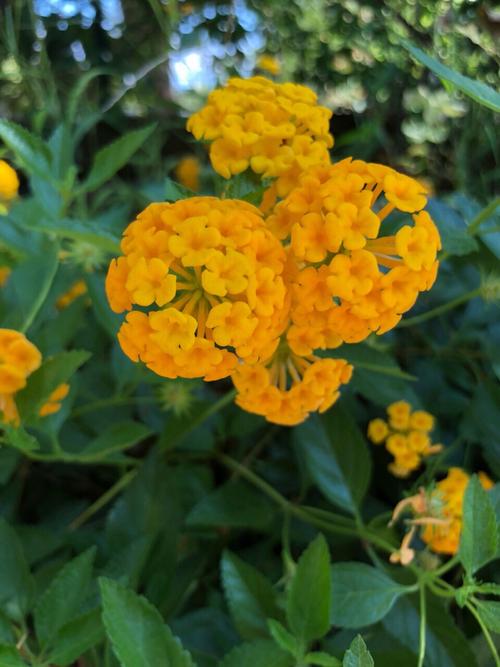 经典语录：每年彼此相似，但每年不同