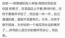 《外国教育通史》四卷读后感
