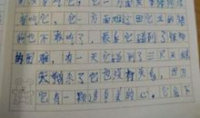 丑小鸭读后感作文