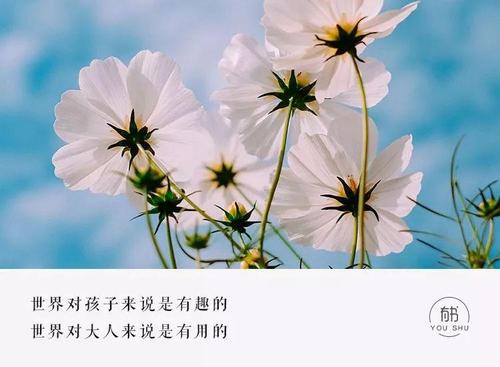 一生中不应该放弃的三件事