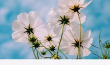 一生中最不该放弃的三样东西