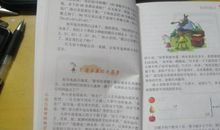 数学名人故事读后感