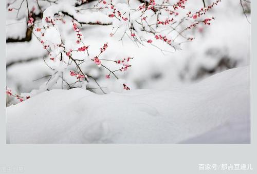 关于雪的诗