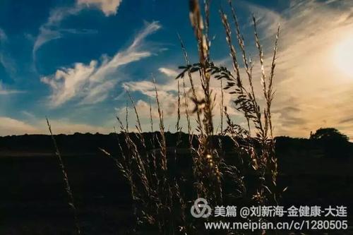 为什么许多人一生都没有意识到自己的真正潜力?