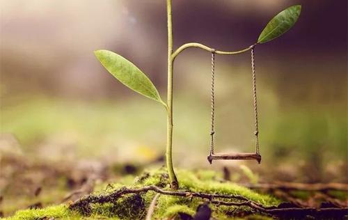 一个非常美丽而阳光明媚的通道