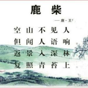 鲁柴王维_鲁柴古诗