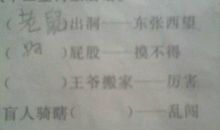 12生肖常见的歇后语