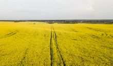 写天气晴朗的句子