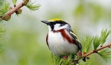 形容豁然开朗的句子