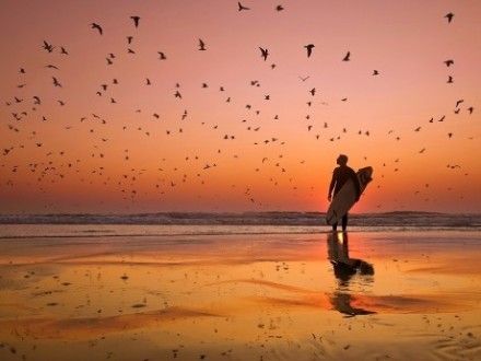 经典语录：做一个沉默寡言但内心深处的人