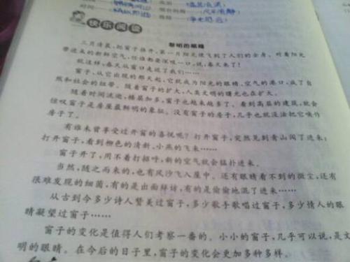 描述眼睛的一段