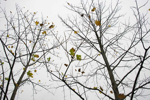 如何使自己变得更好？