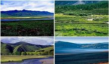 描写大自然的片段