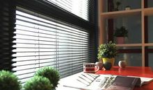 心灵百叶窗读后感