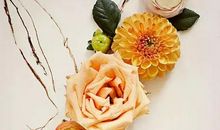 毕淑敏：恰到好处的幸福