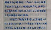 我心目中的母亲作文