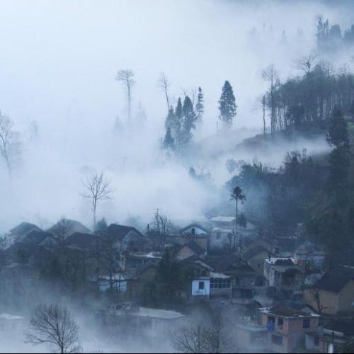 刘良成:寒风吹过