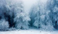 描写冬天的一段话