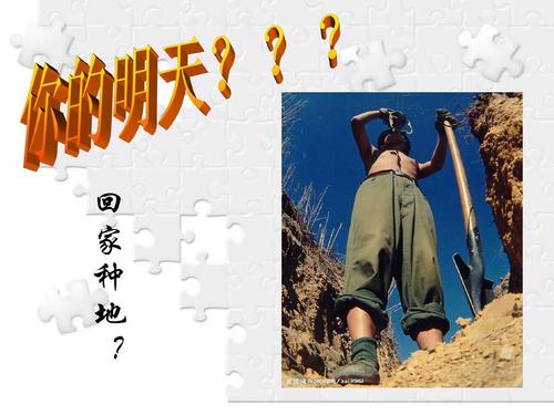 高年级的励志文章：高年级的决定性胜利，成为黄牛