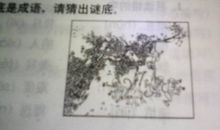 有关水中捞月的歇后语