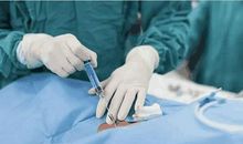 什么样的毕业生不愁工作