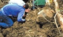 新高三的九“死”一“生”