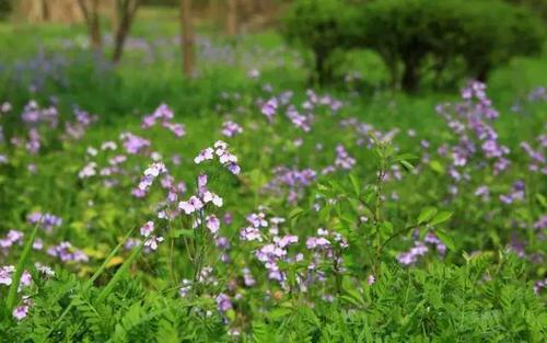 中年人八成就，辉煌！
