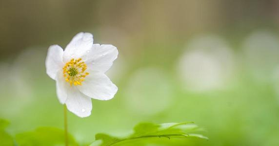 妻子生气并哄骗她的幸福句子妻子生气时如何哄骗她的幸福爱情句子2