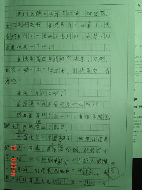 父母的爱情作文