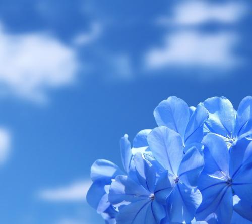 妻子生气并哄骗她的幸福句子妻子生气时如何哄骗她的幸福爱情句子