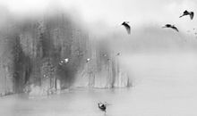 28岁以后，脱胎换骨——记两年自我修炼心路历程