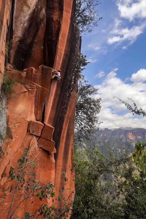 如何找到您真正想做的事？