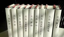 北岛：十年之间