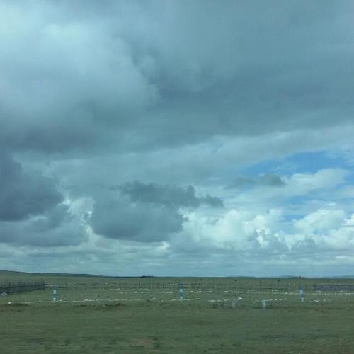 毕淑敏：毛毛虫的爱